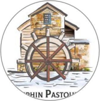 摩飞 logo